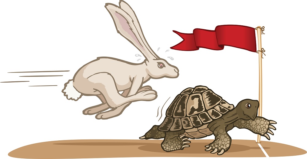 Tortoise-and-the-Hare